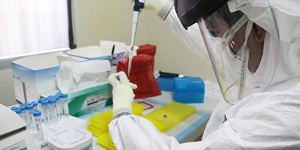 PAHO reinforces preparedness measures following WHO Ebola emergency declaration in Africa Region