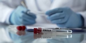 PAHO steps up preparedness across the Americas amid Ebola outbreak in Africa