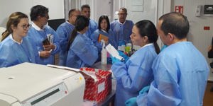 PAHO and partners strengthen surveillance of hantavirus and other hemorrhagic fevers in the Americas