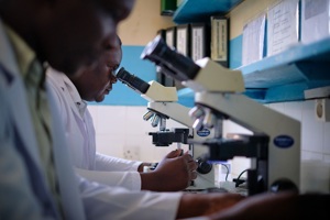 TAG-TP statement on immunomodulators and host-directed therapies for Bundibugyo virus disease